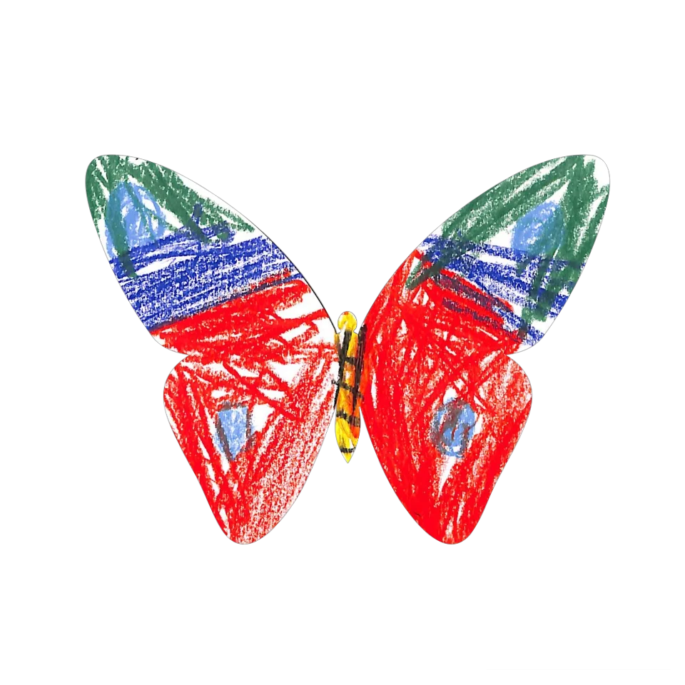 Original Butterfly Image
