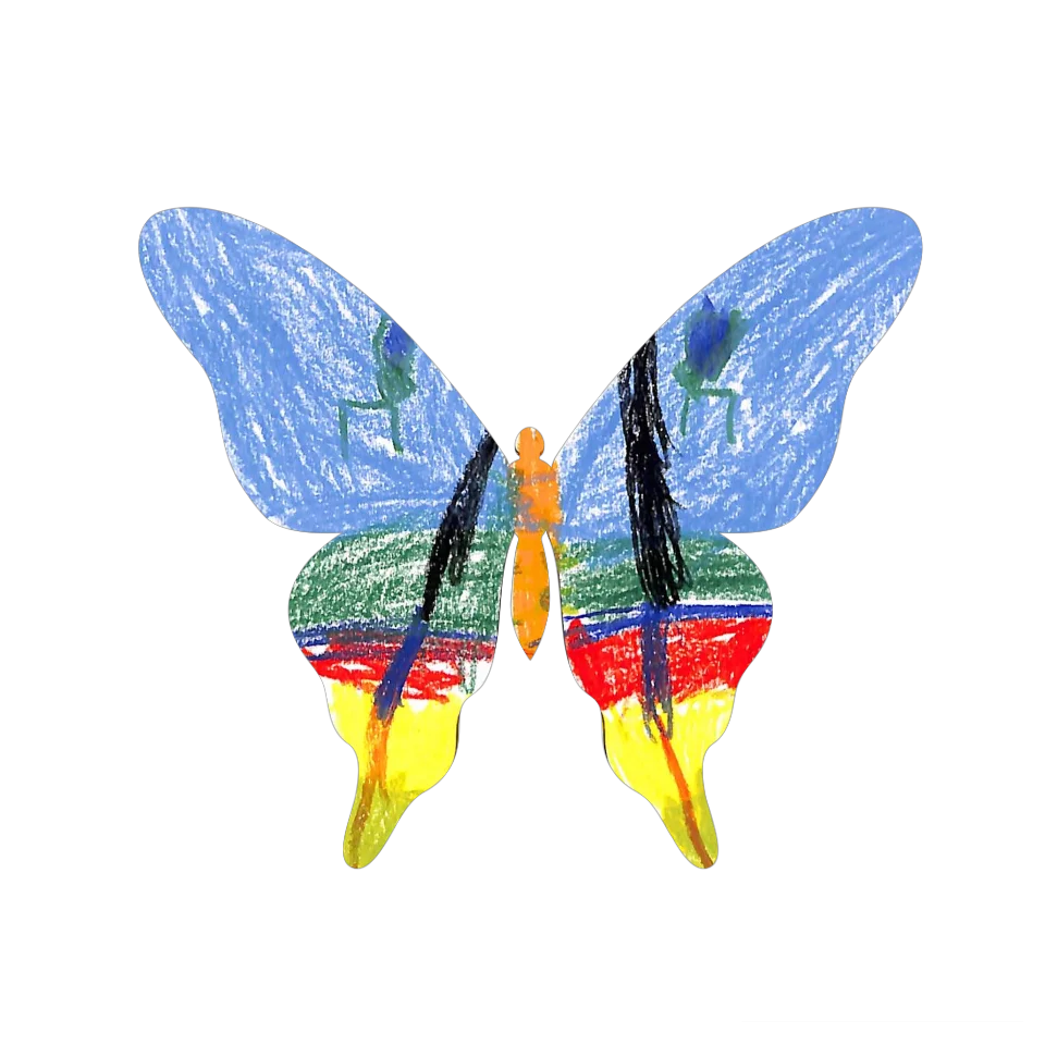Original Butterfly Image