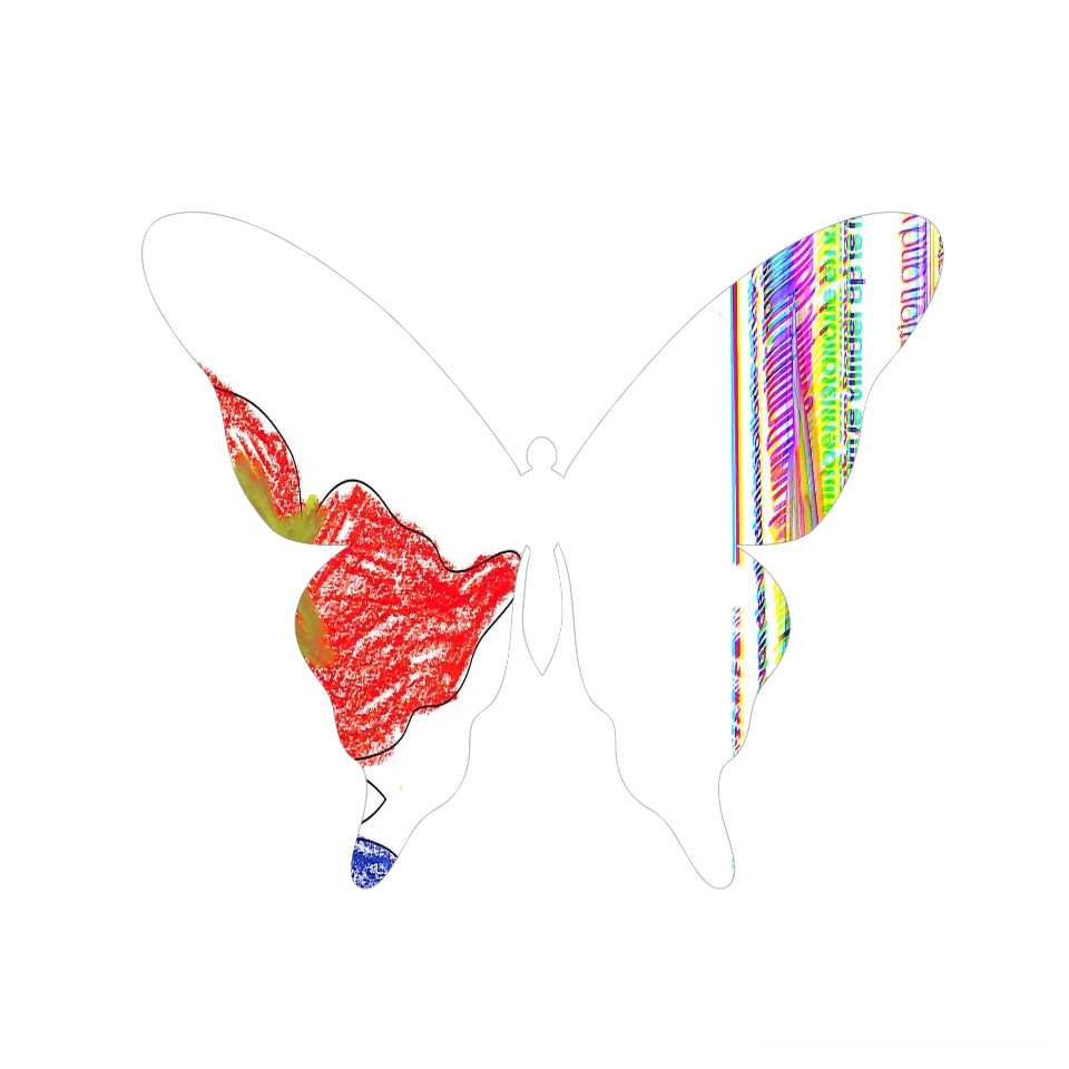 Original Butterfly Image