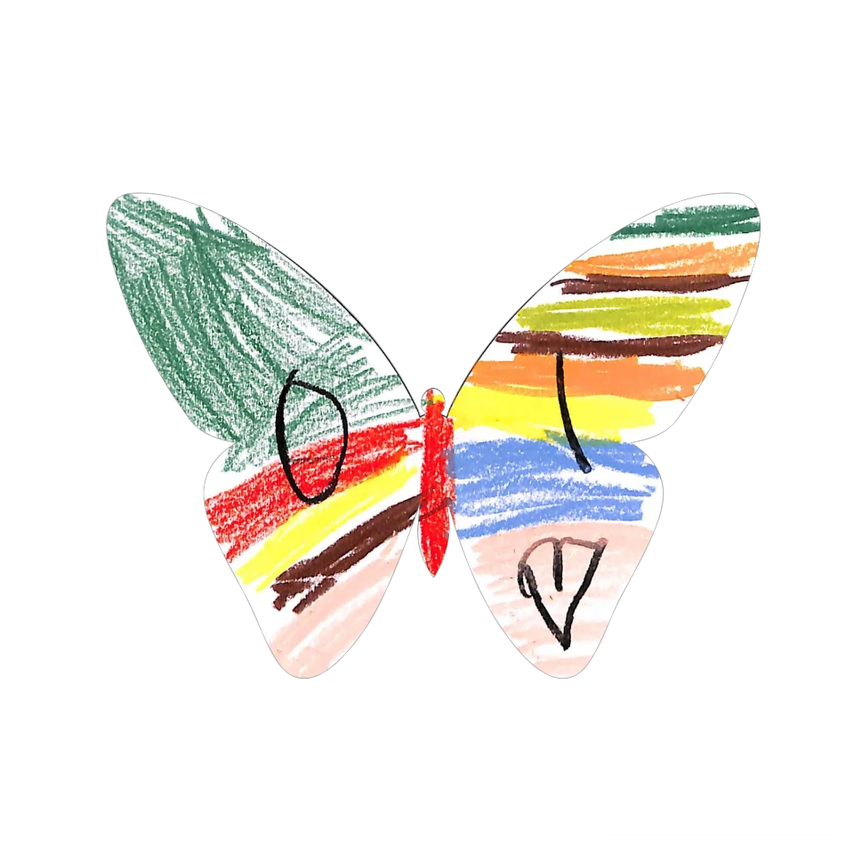Original Butterfly Image