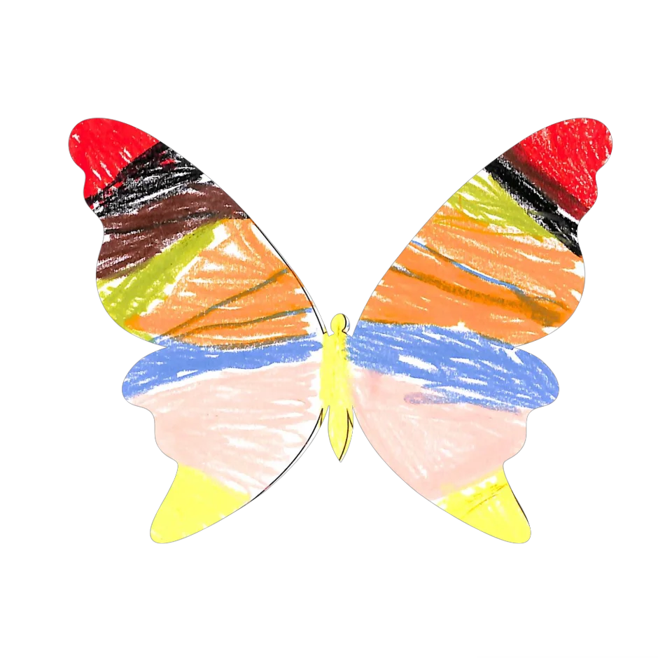 Original Butterfly Image