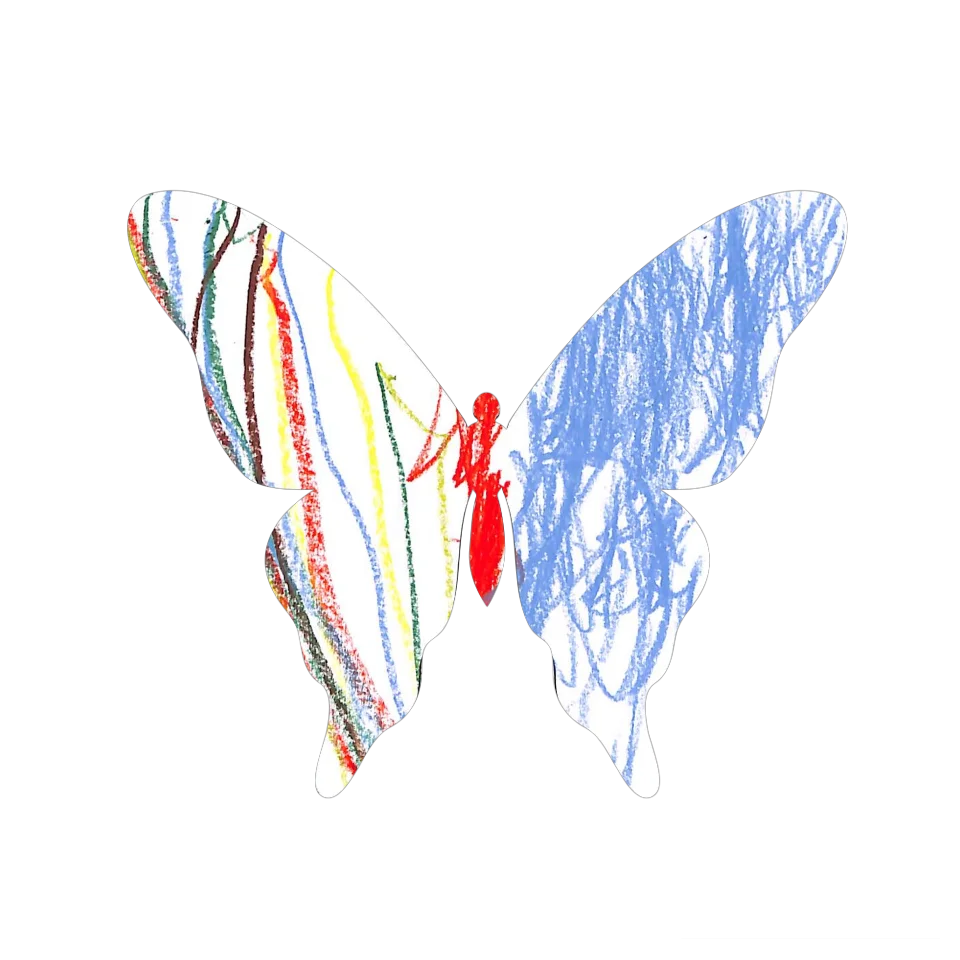 Original Butterfly Image