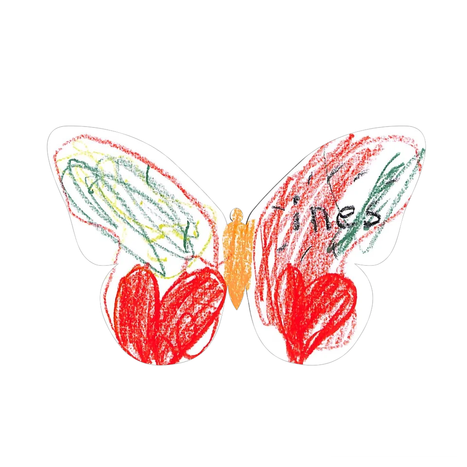 Original Butterfly Image