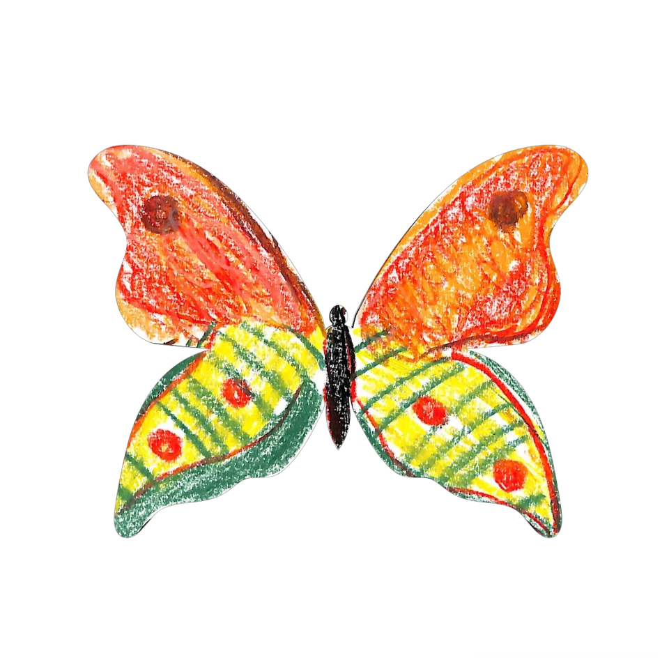 Original Butterfly Image