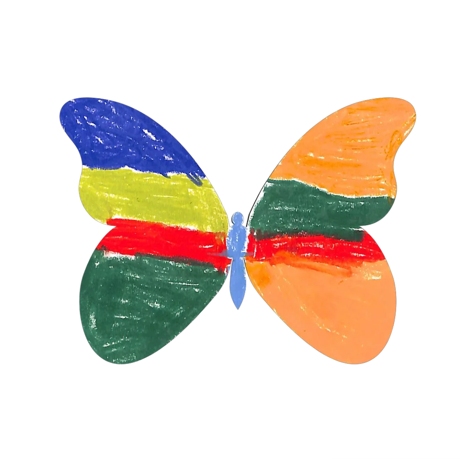 Original Butterfly Image