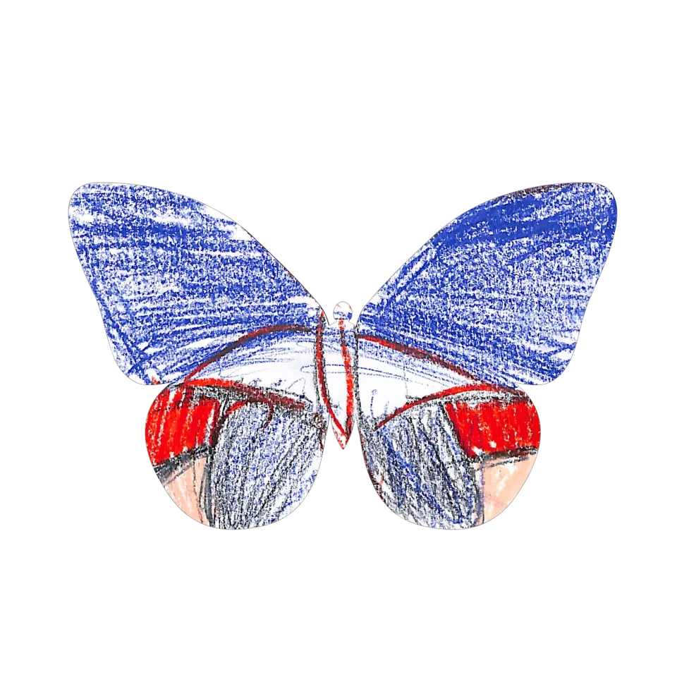 Original Butterfly Image