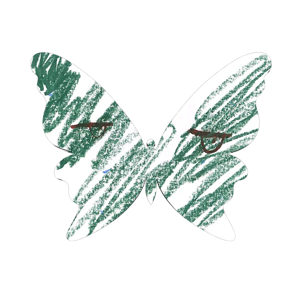 Original Butterfly Image
