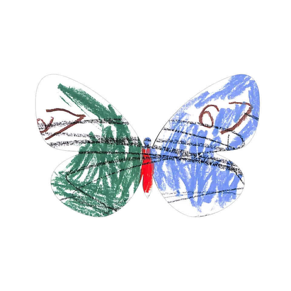 Original Butterfly Image