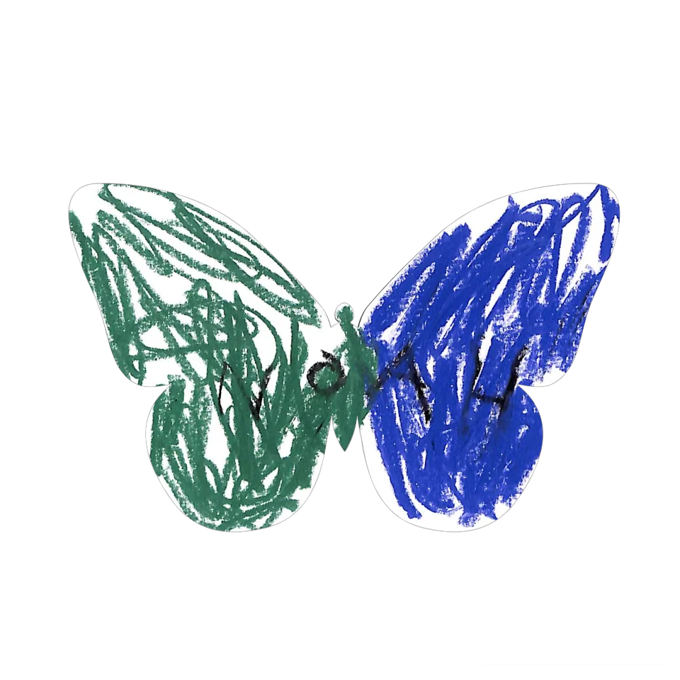 Original Butterfly Image