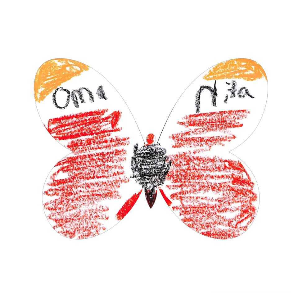 Original Butterfly Image