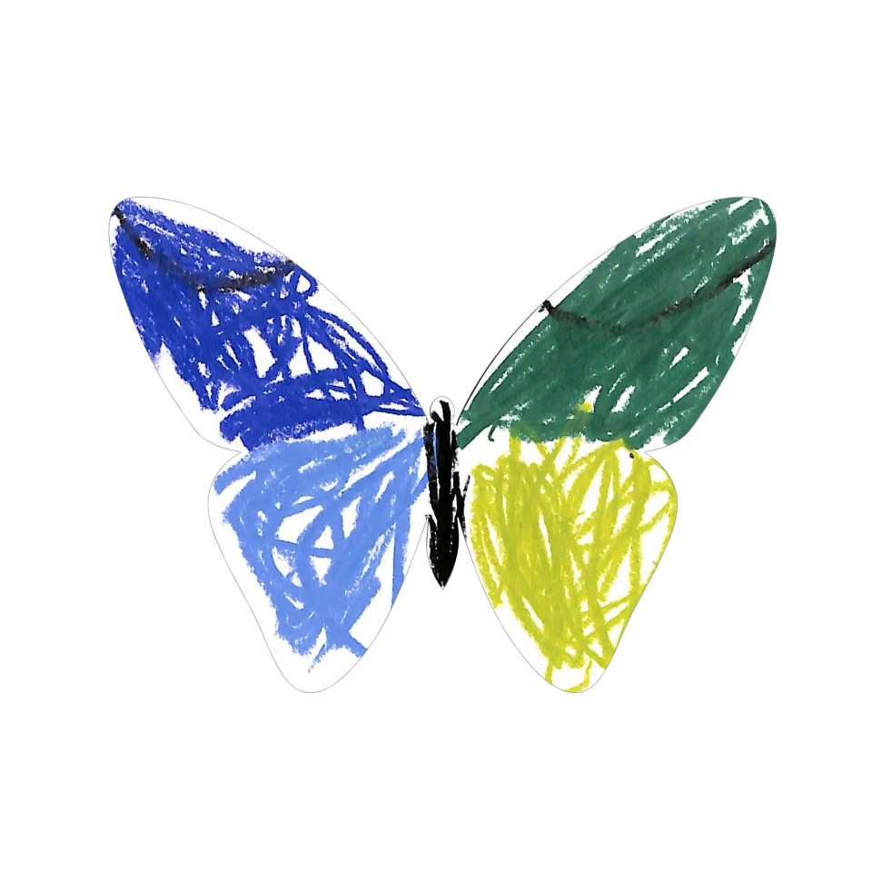 Original Butterfly Image