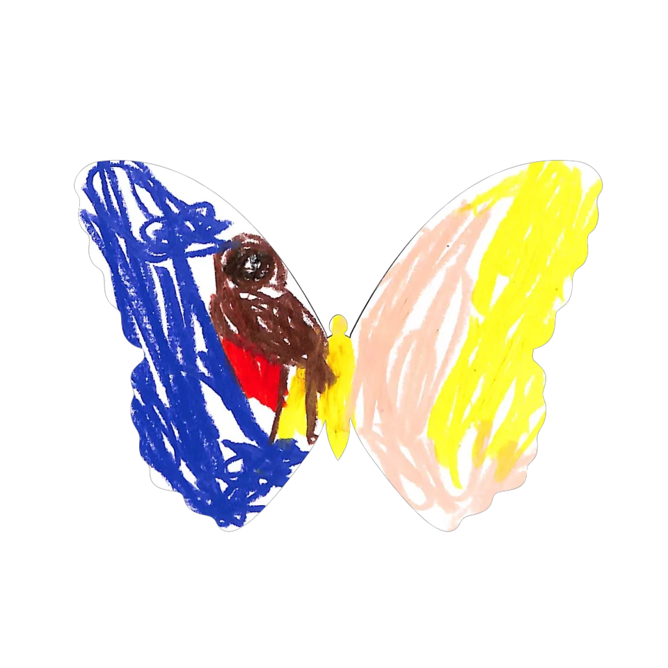 Original Butterfly Image