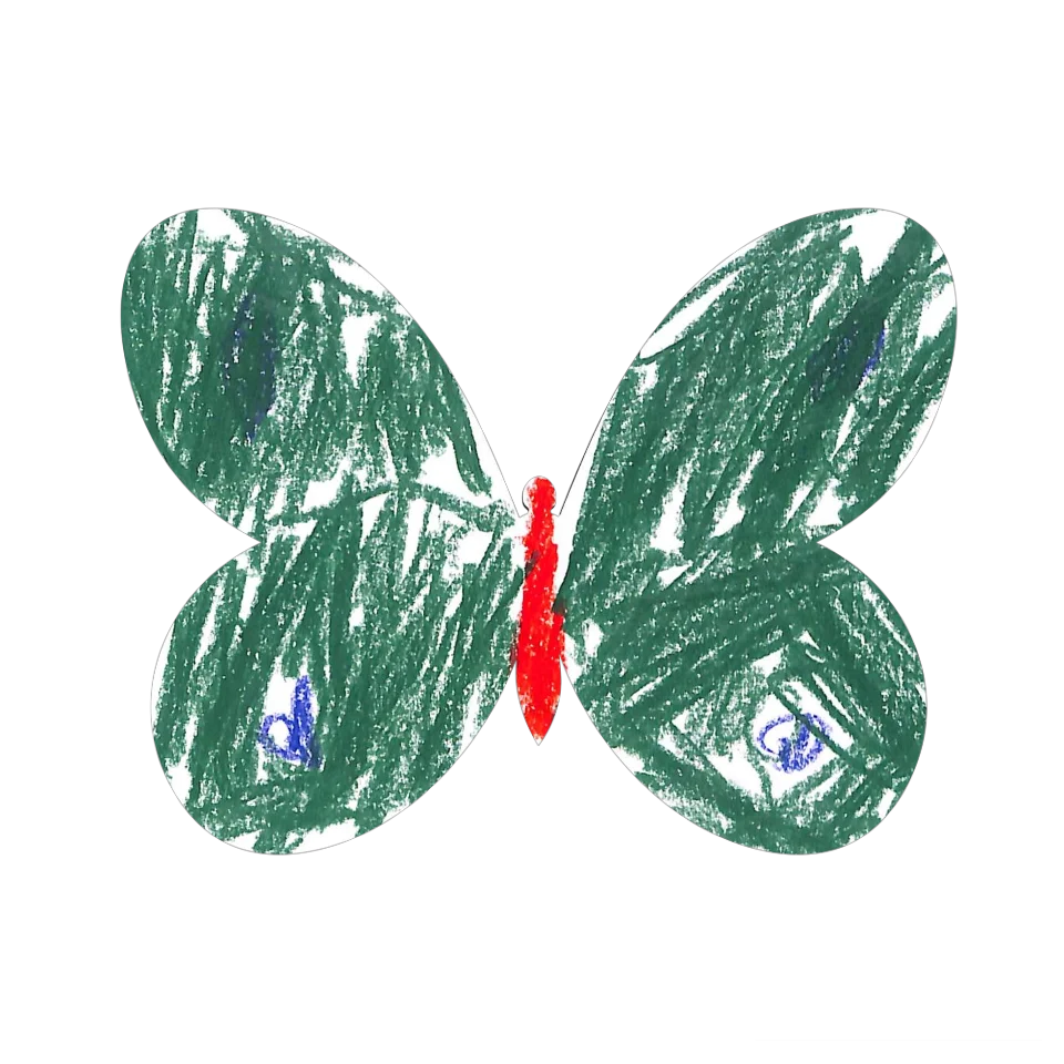 Original Butterfly Image