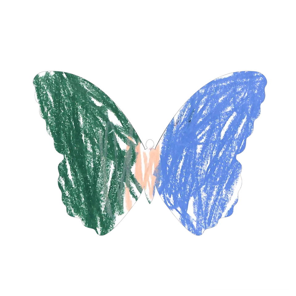 Original Butterfly Image