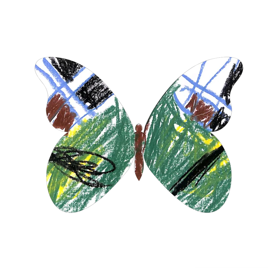 Original Butterfly Image