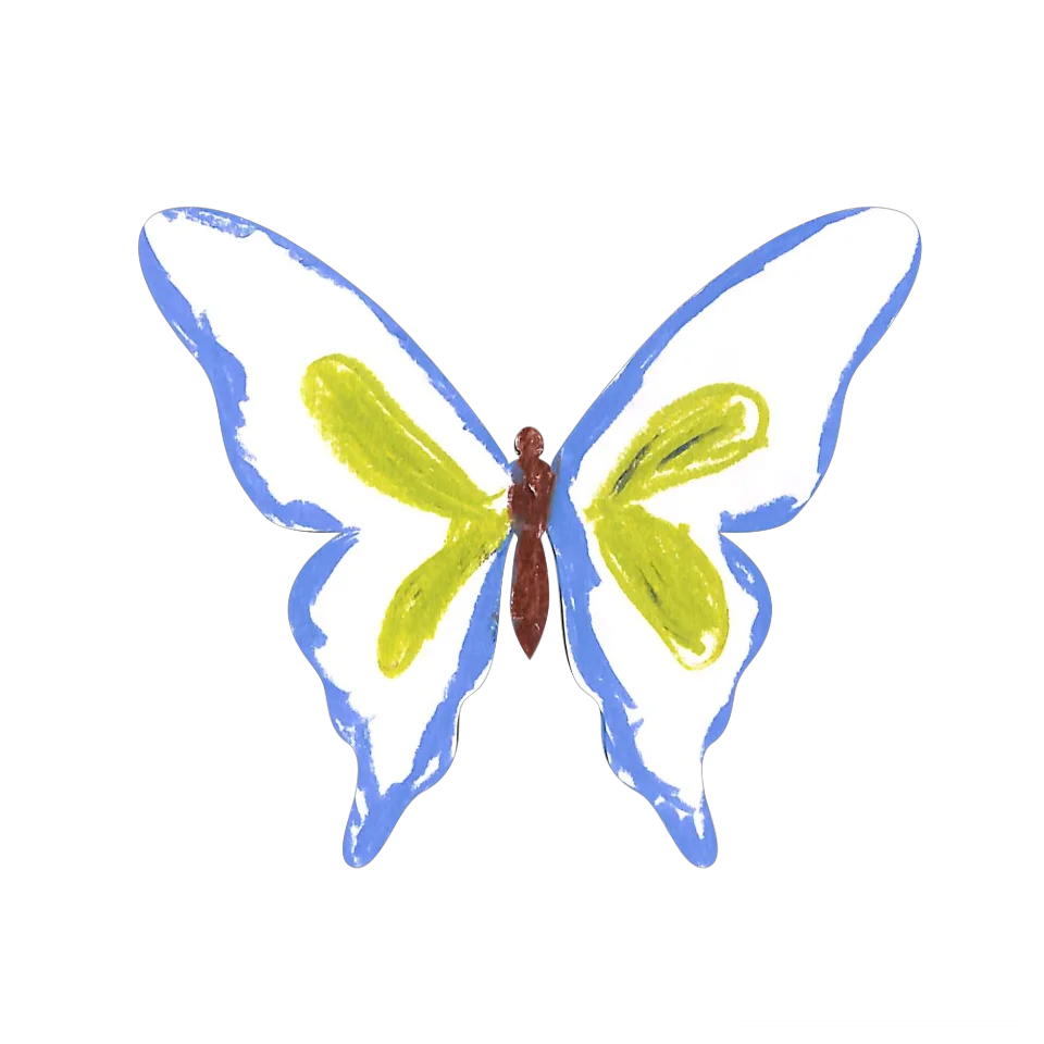 Original Butterfly Image