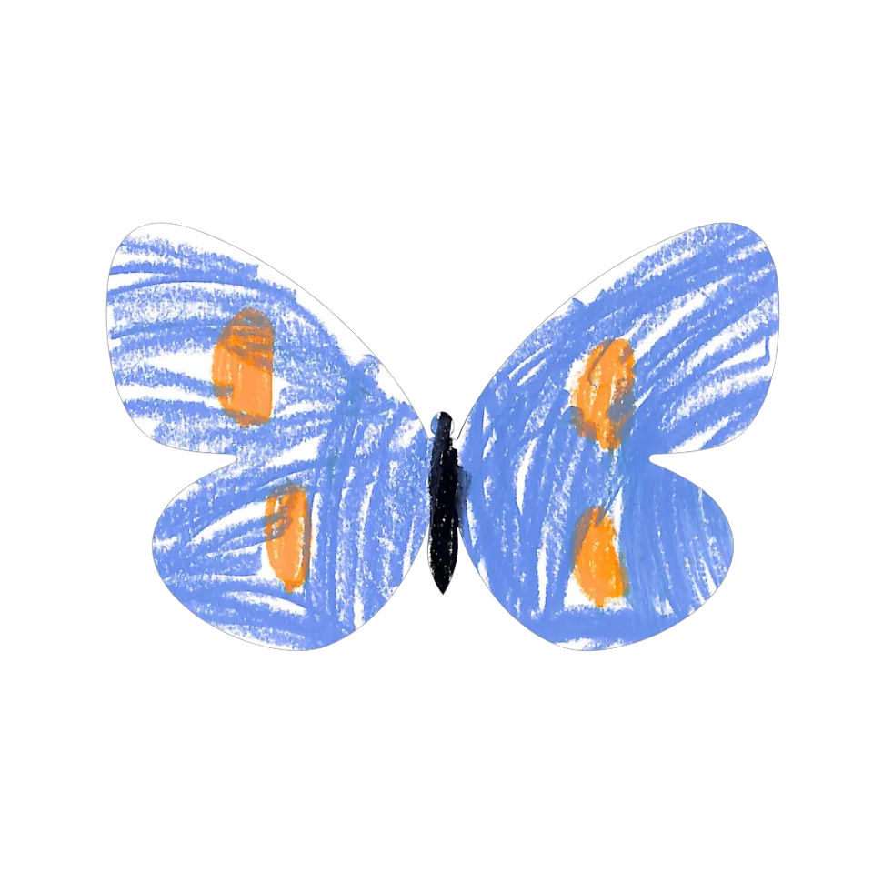 Original Butterfly Image
