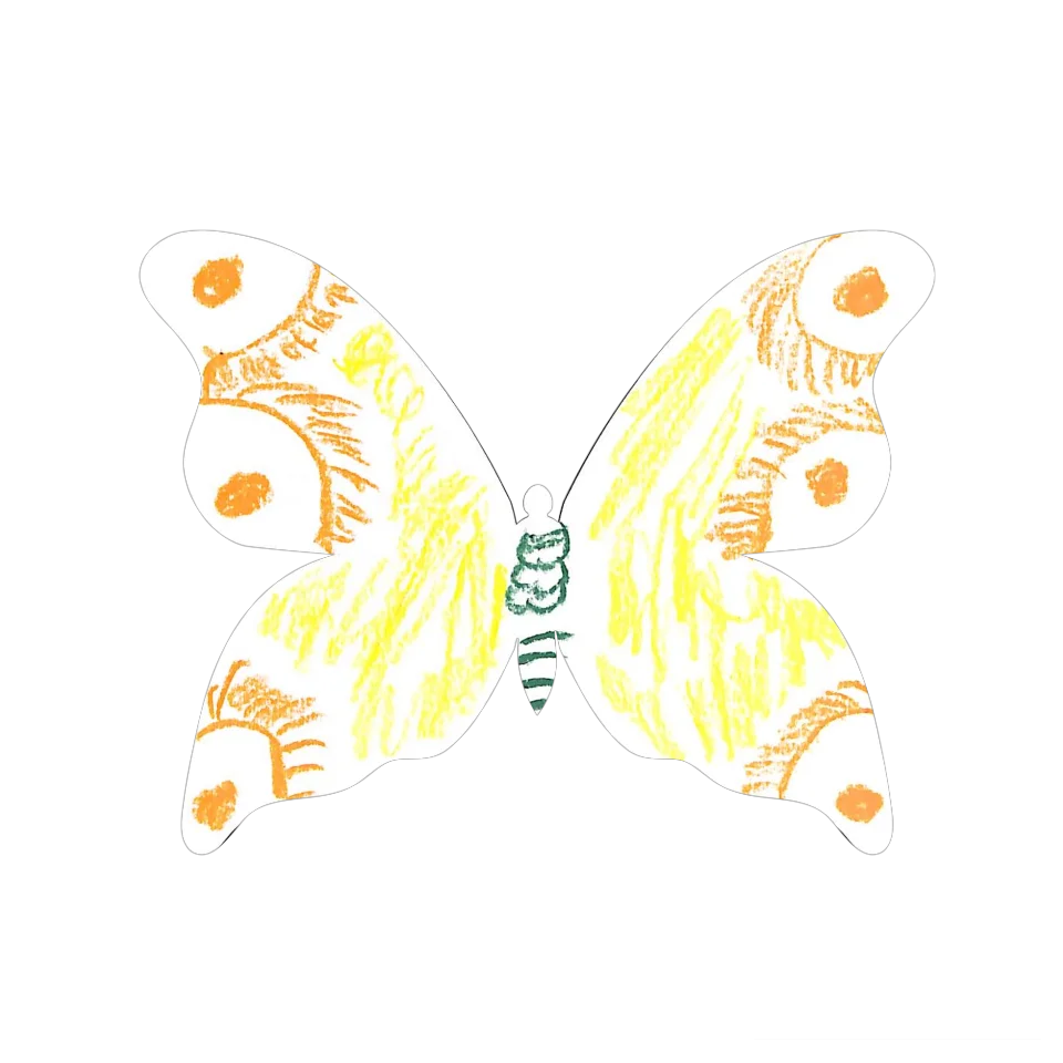 Original Butterfly Image