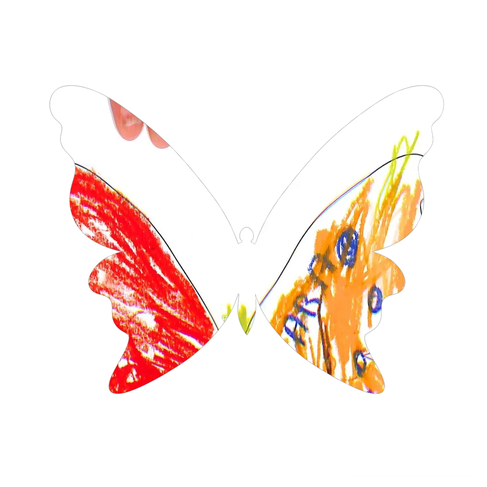 Original Butterfly Image
