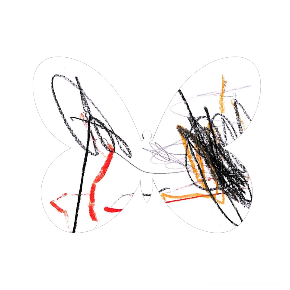 Original Butterfly Image