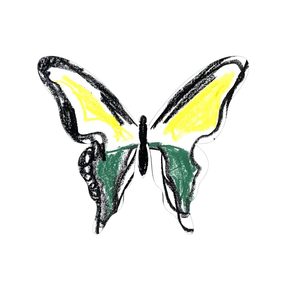 Original Butterfly Image