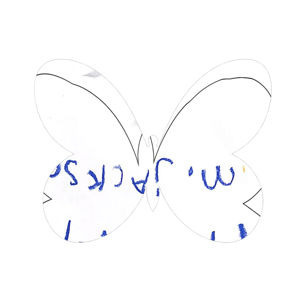 Original Butterfly Image