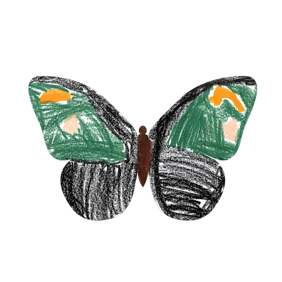Original Butterfly Image