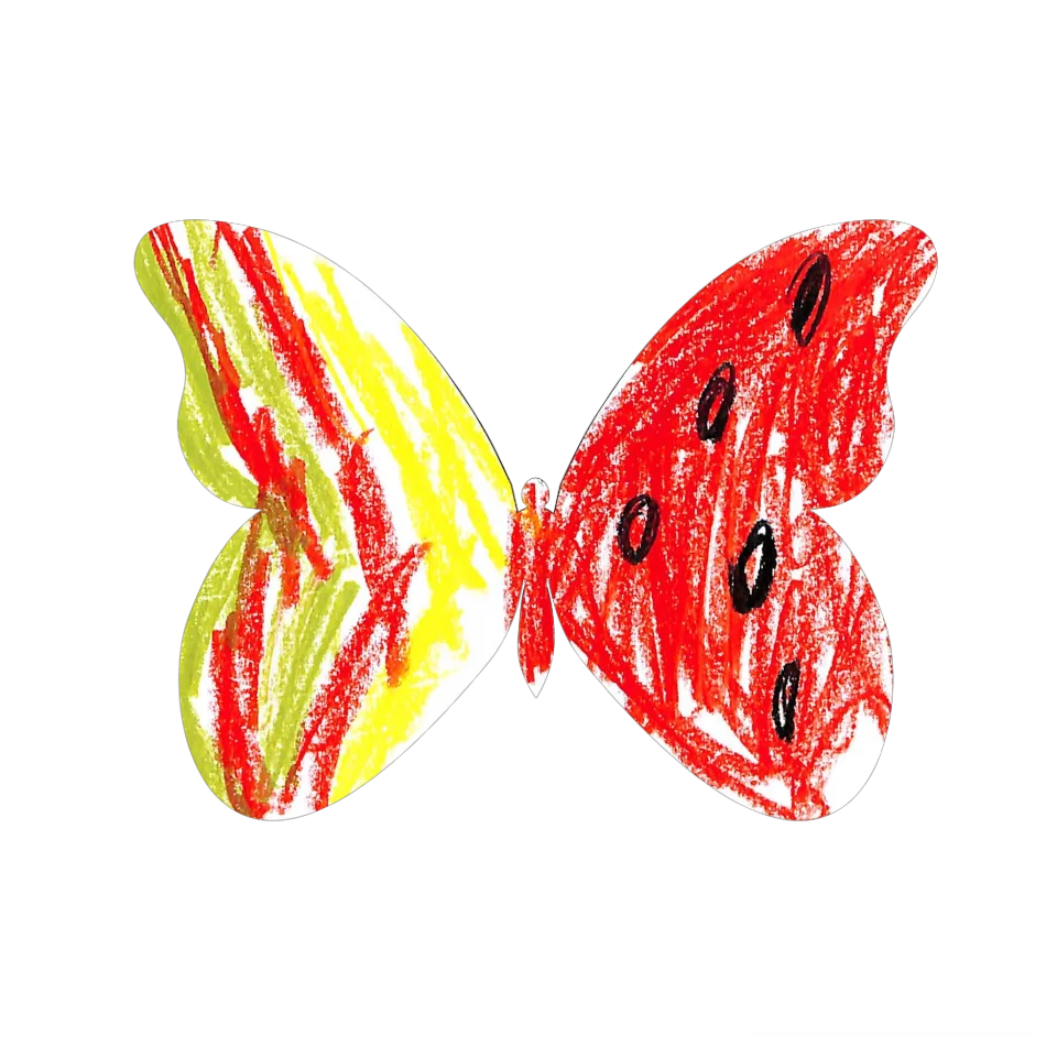 Original Butterfly Image