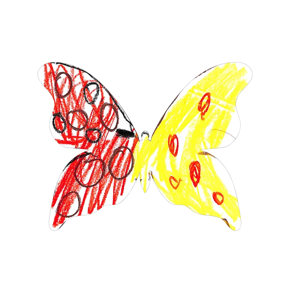 Original Butterfly Image