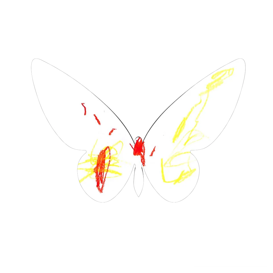 Original Butterfly Image