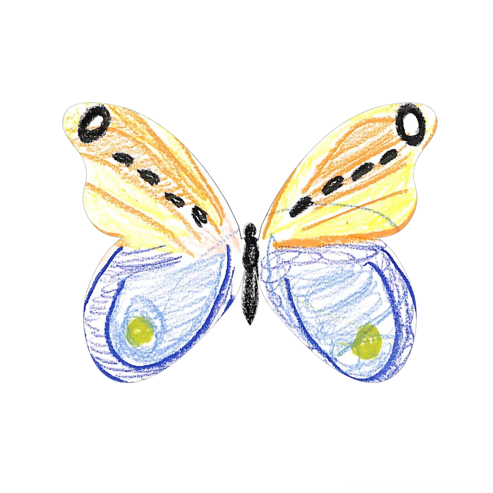 Original Butterfly Image