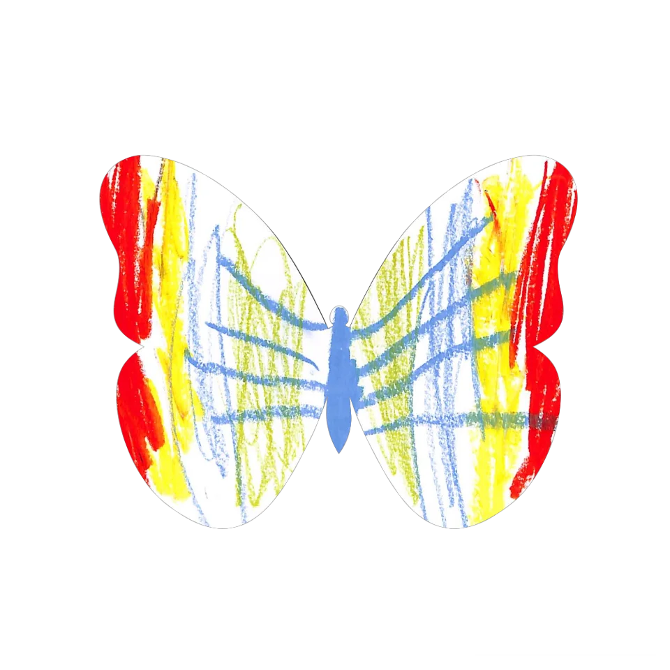 Original Butterfly Image