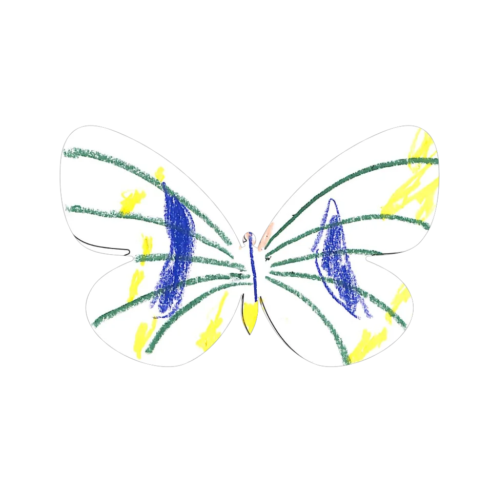 Original Butterfly Image