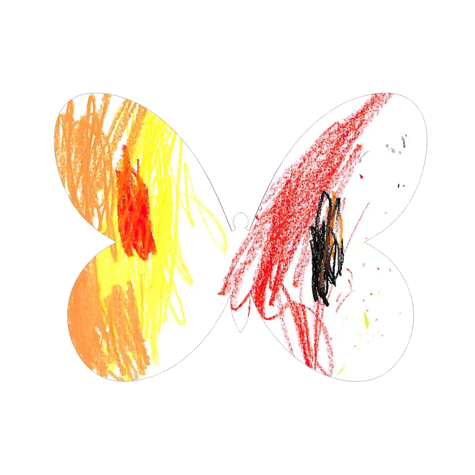 Original Butterfly Image