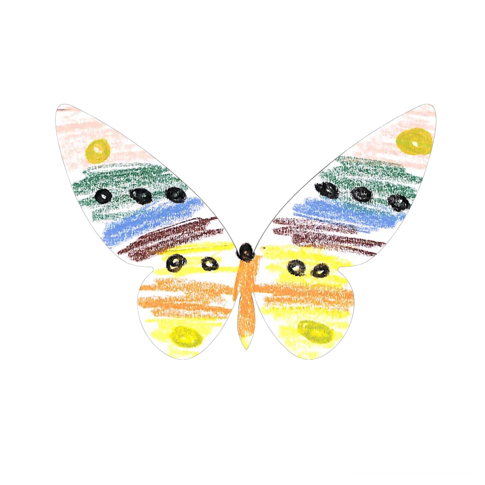 Original Butterfly Image