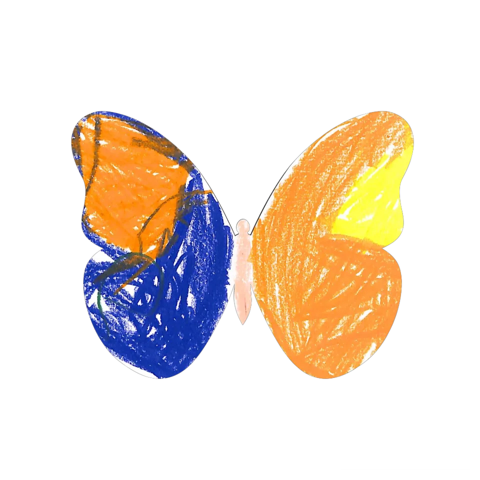 Original Butterfly Image