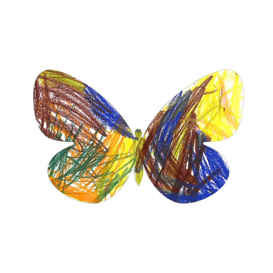 Original Butterfly Image