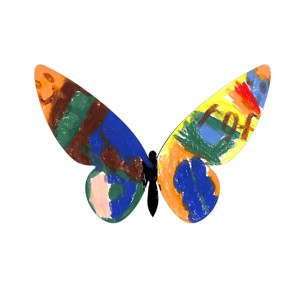 Original Butterfly Image