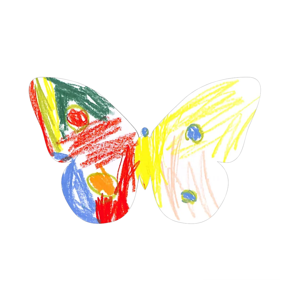 Original Butterfly Image