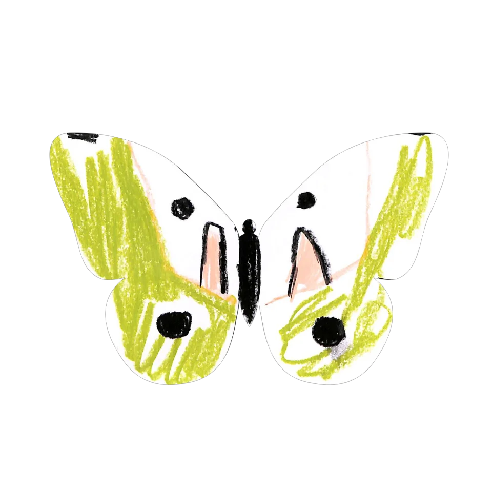 Original Butterfly Image