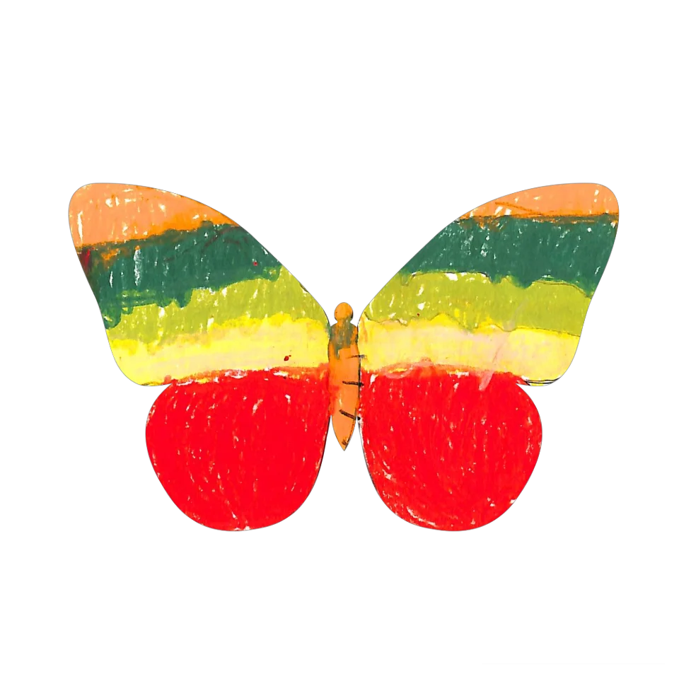 Original Butterfly Image