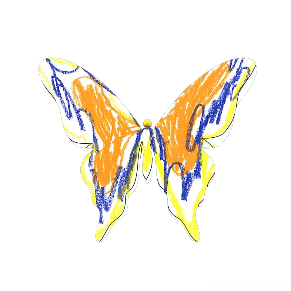 Original Butterfly Image