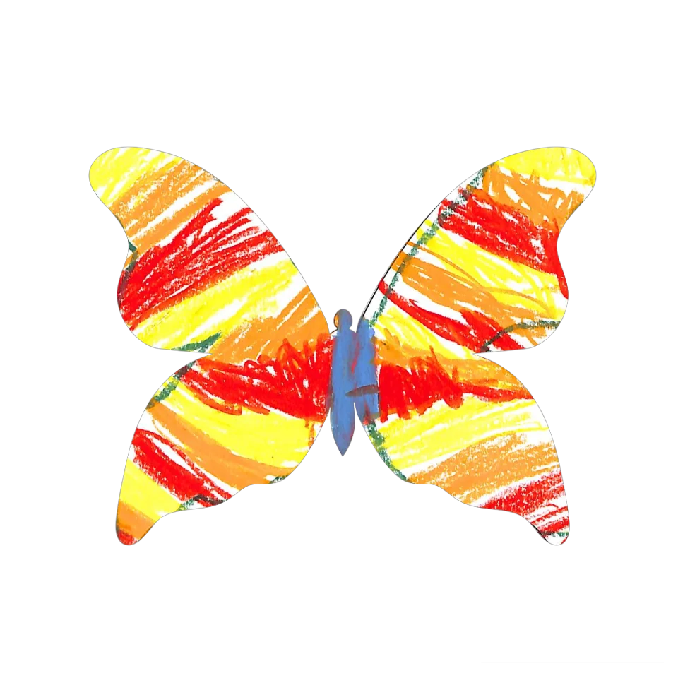 Original Butterfly Image
