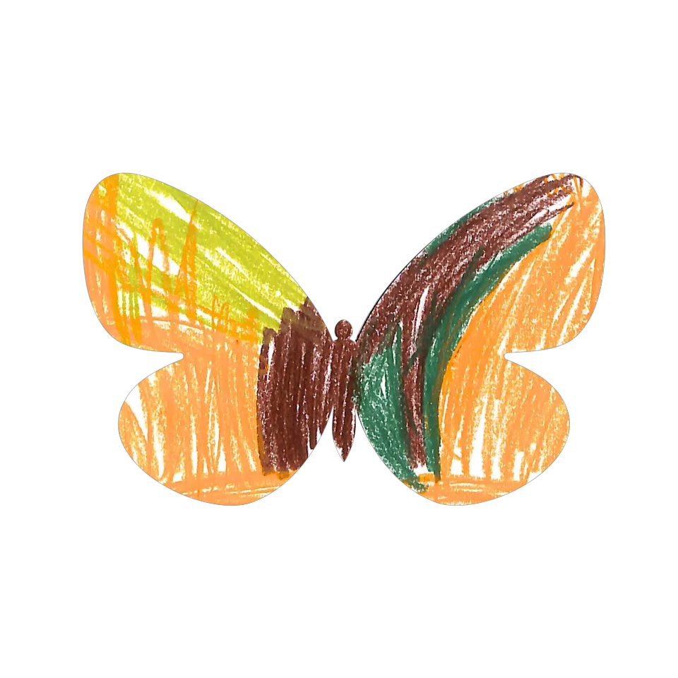 Original Butterfly Image