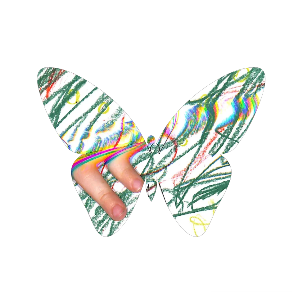Original Butterfly Image