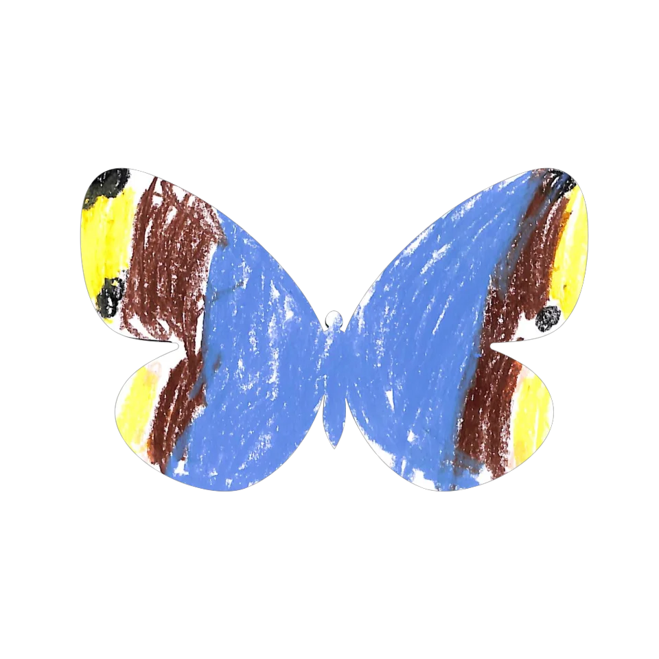 Original Butterfly Image