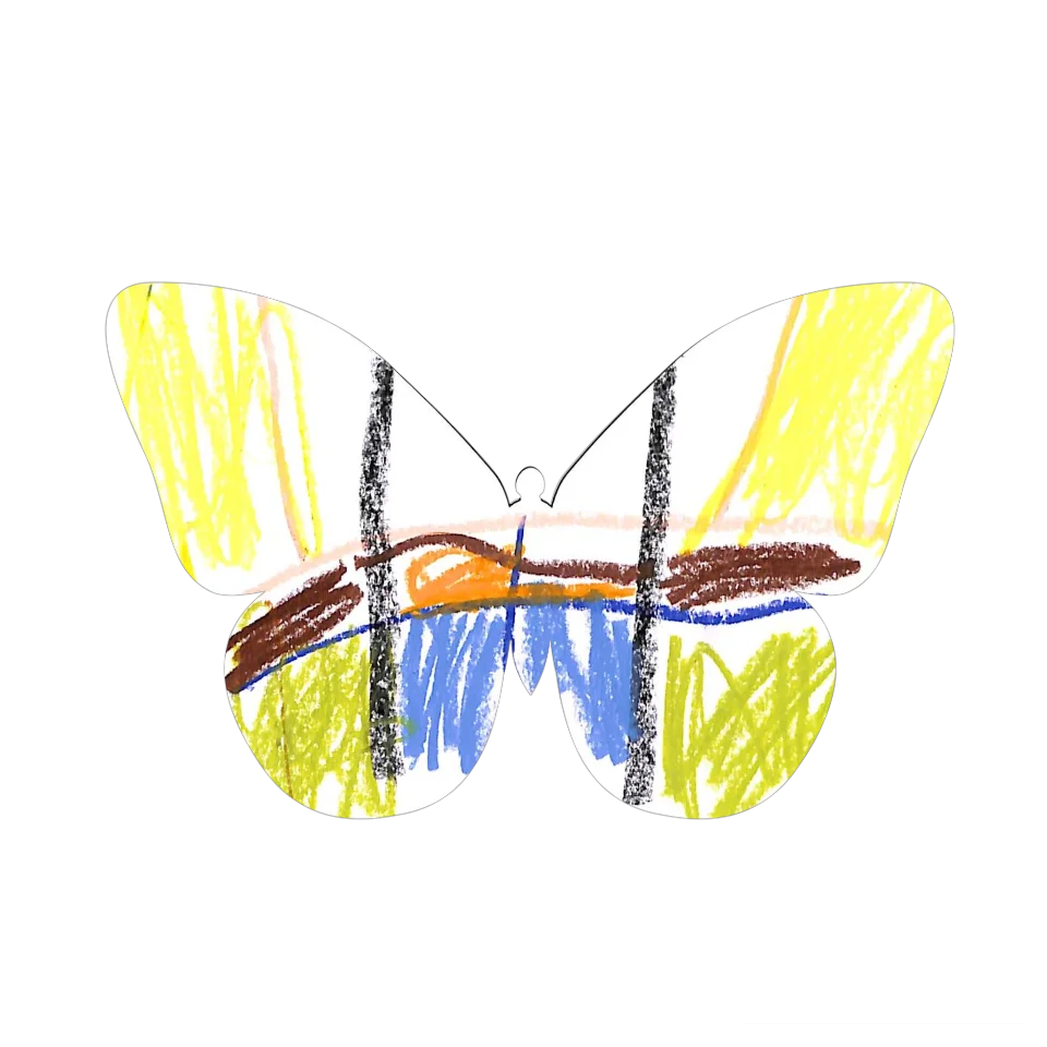Original Butterfly Image