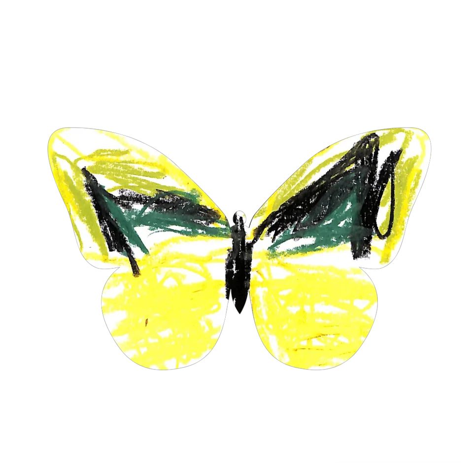 Original Butterfly Image