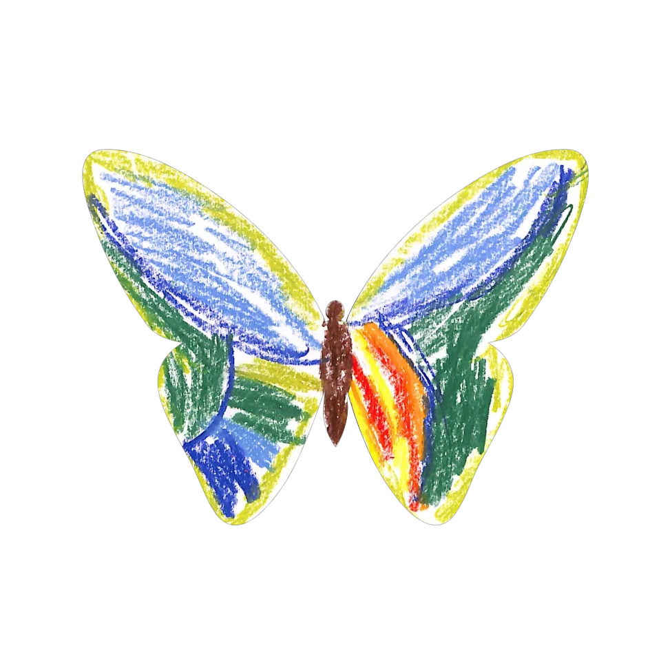 Original Butterfly Image