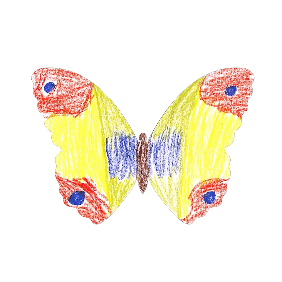Original Butterfly Image